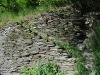 Weinbergwanderung im Rheingau - 02 Einstieg zum Weinberg bei Lorch (Bildautor: Dr. Wolfgang Heinemann)